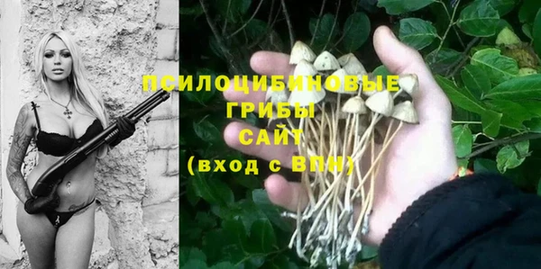 ALPHA-PVP Алексеевка